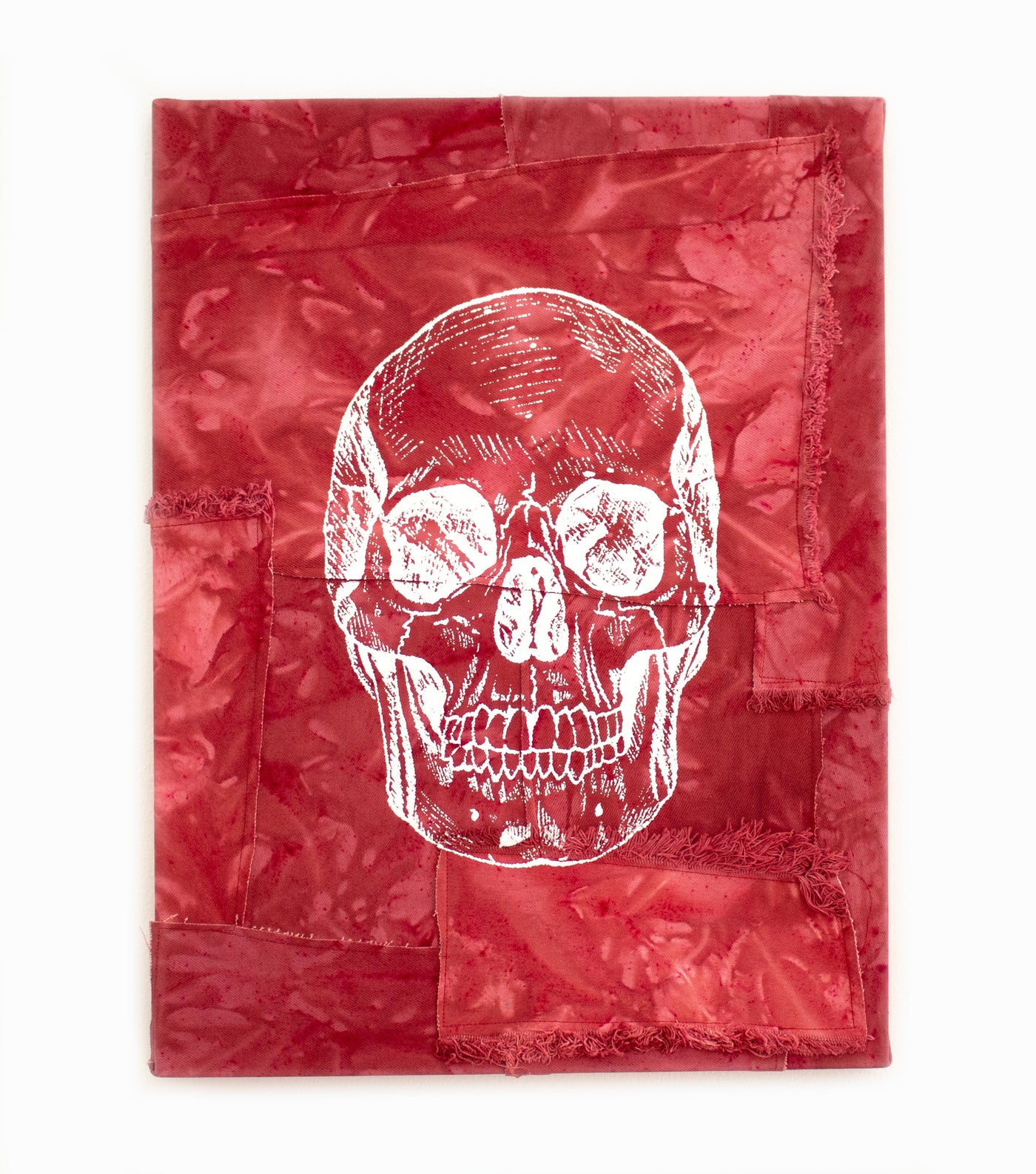 Cardinal Skull- Memento Mori
